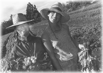  Ali Edwards and Jane Friedmon