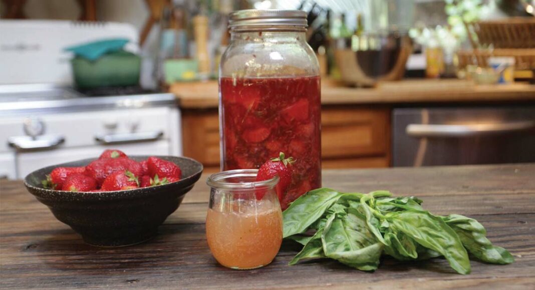 LAFB_1629 vinegar fruit shrubs