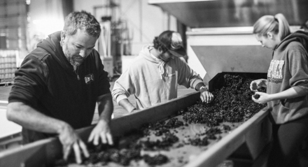 El Lugar Wines making wine
