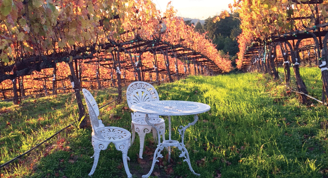 Burrell School Vineyard