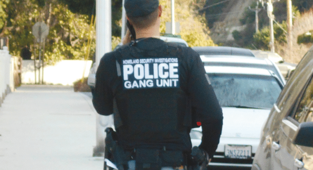 SCPD responds to ICE raids