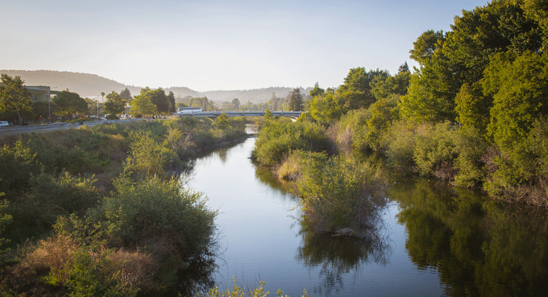 San Lorenzo River Santa Cruz