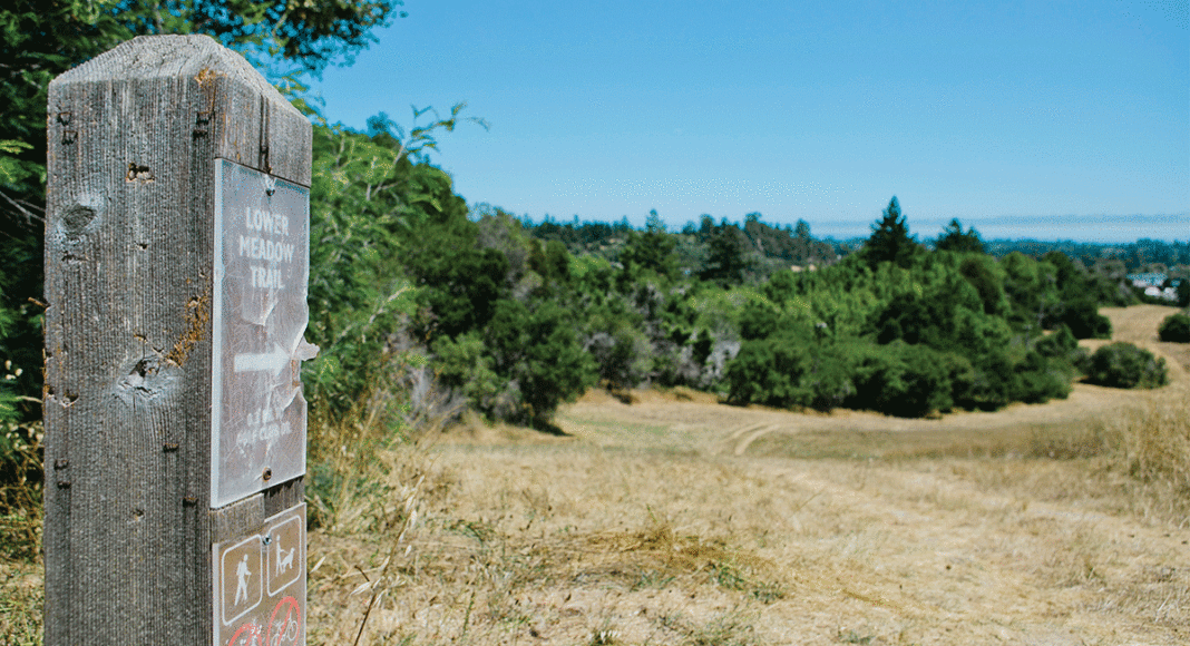 hiking ucsc pogonip
