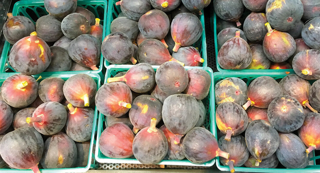 mission figs