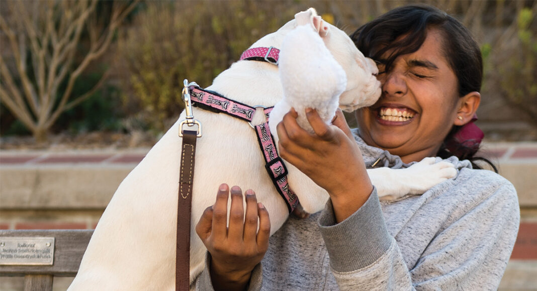 Santa Cruz nonprofits UnChained