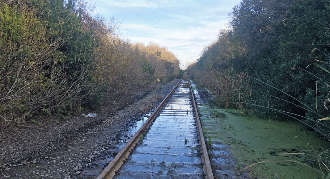 northern portions of Santa Cruz County’s rail line, Progressive Rail, rail trail controversy