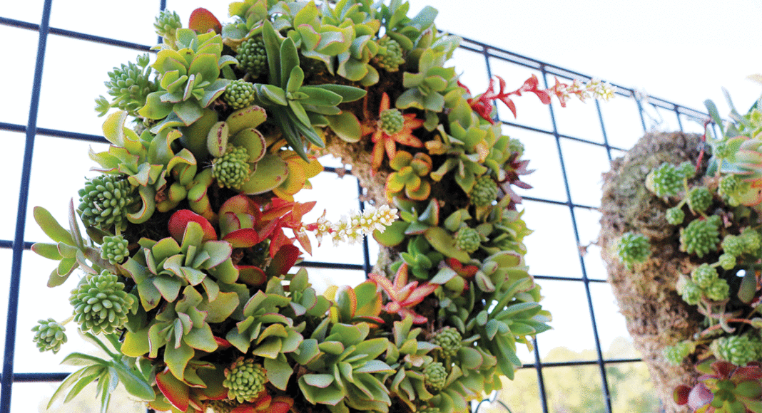 wreath