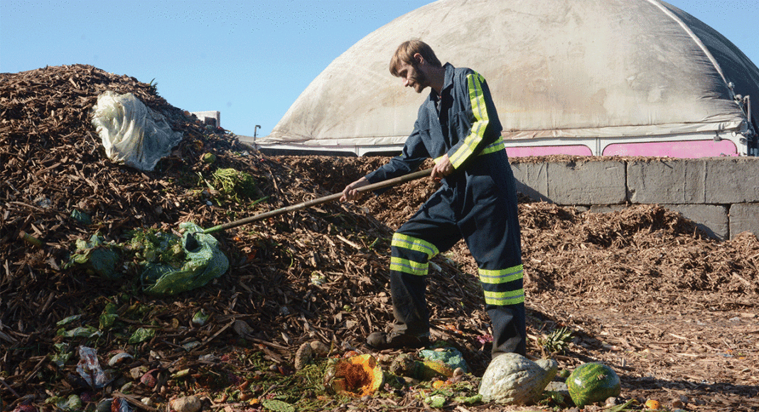 Santa Cruz compost