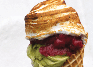 Get Toasted at Penny Ice Creamery Penny Ice Creamery marshmallow