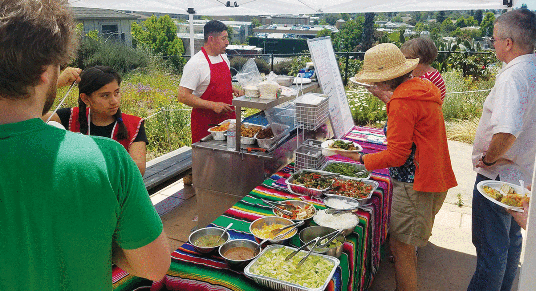 pop-up picnics