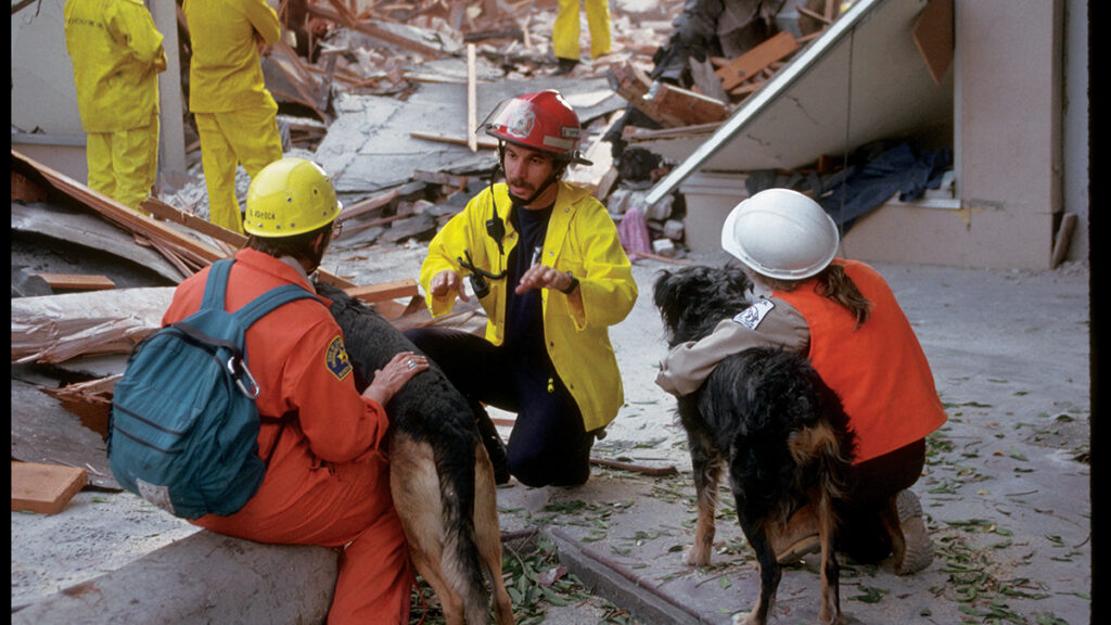 Bookshop Santa Cruz Loma Prieta