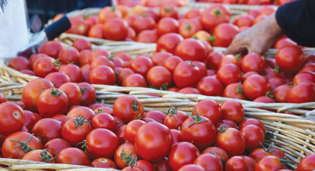 fall Farmers market