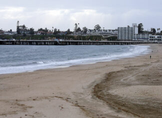 Managing the Coronavirus Response Effort in Santa Cruz County