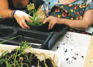 Why Gardening is the Perfect Prescription for Managing Pandemic Anxiety