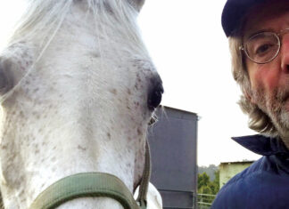 50 Up: A Boomer in Lockdown