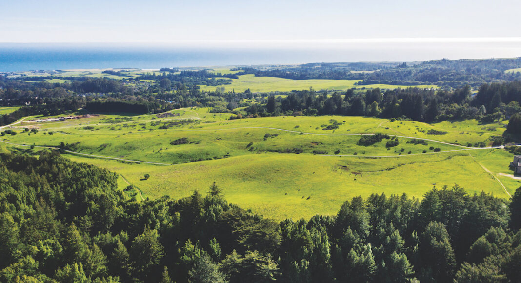 UCSC housing