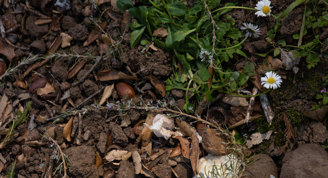 human-composting-California