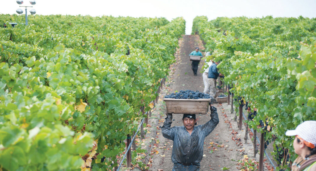 Balletto Vineyards 2021 Gewurztraminer