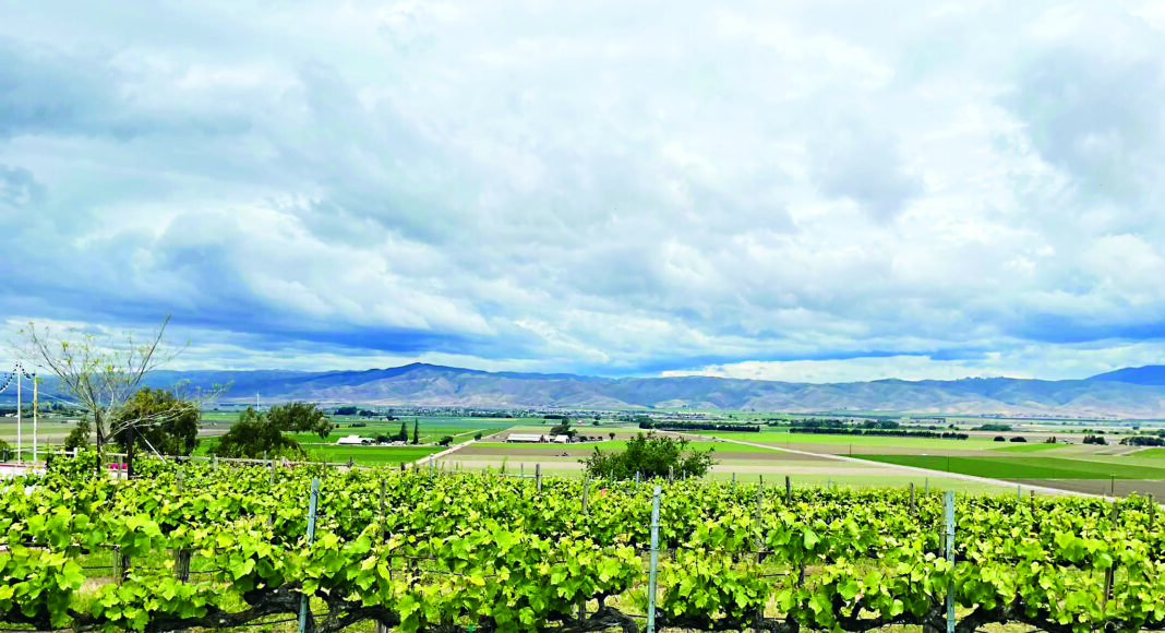 Hahn Estate Winery