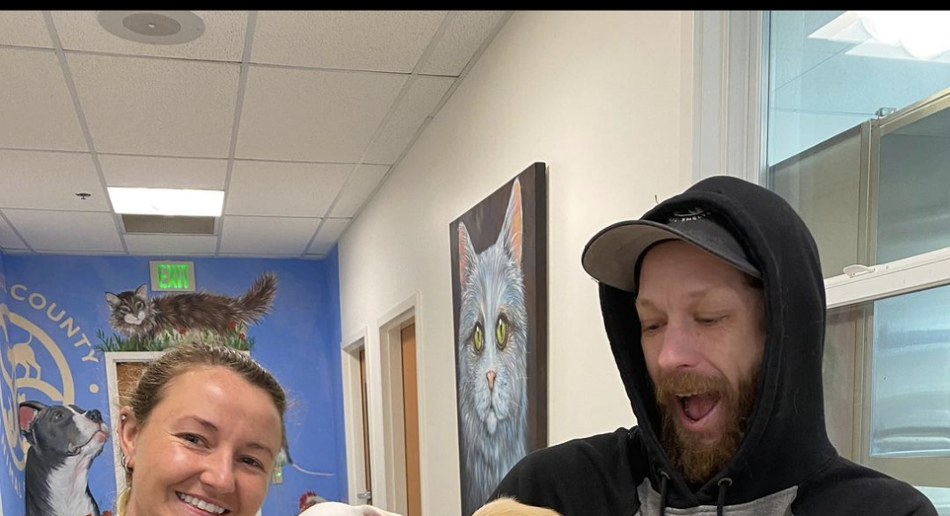 Santa Cruz Animal Shelter