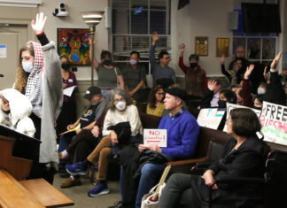 Council Passes Resolution For Peace, Declines To Call For Ceasefire Ceasefire Peace