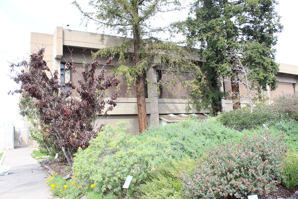 Santa Cruz County Building