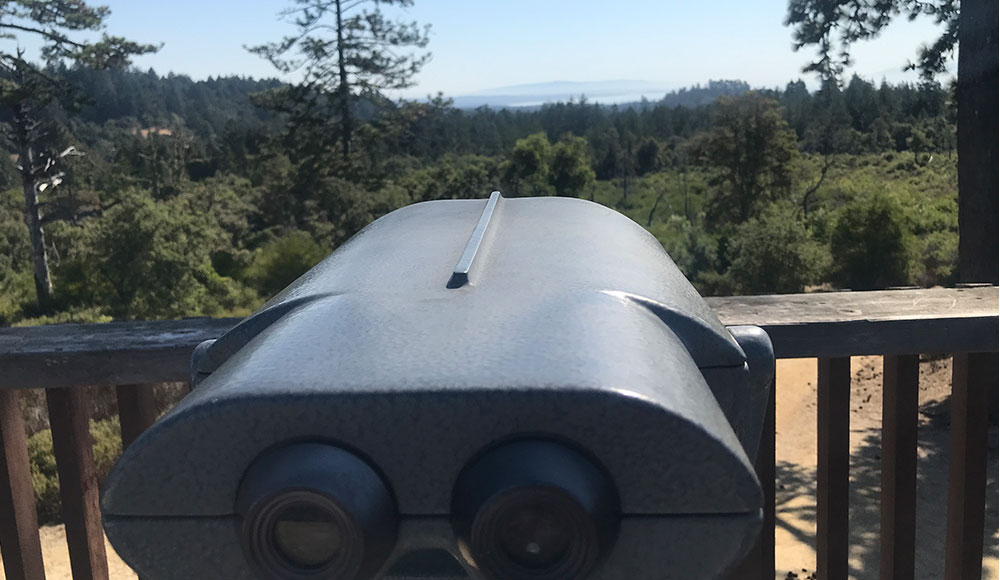 binoculars on an observation deck overlooking a forest view with the ocean in the distant background