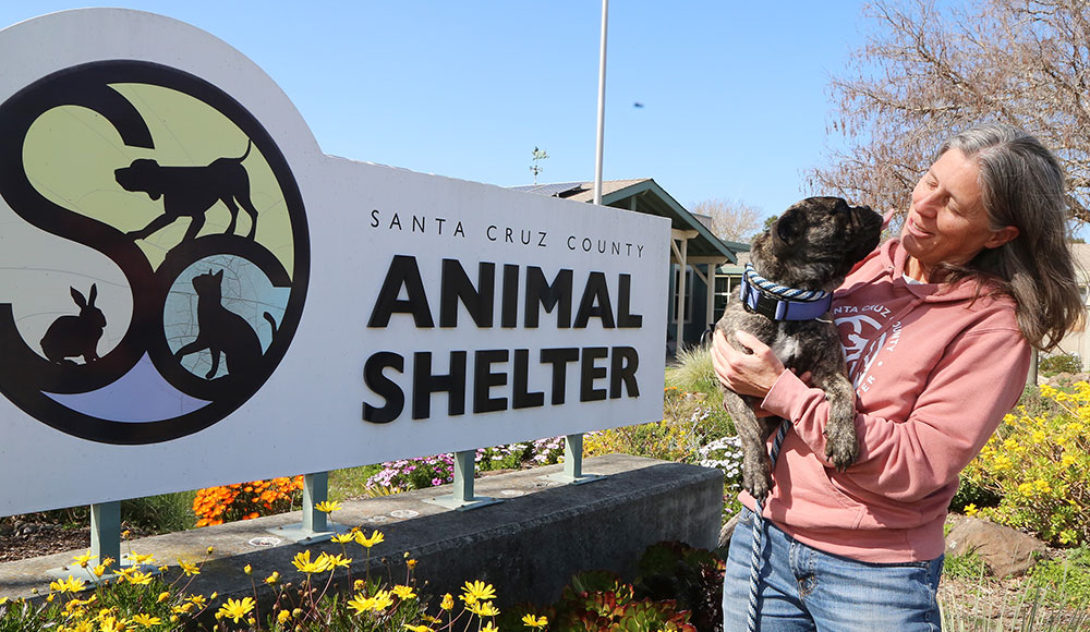 Woman by a sign holding a dog