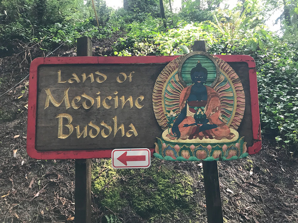 Sign in a forest with a buddha on it