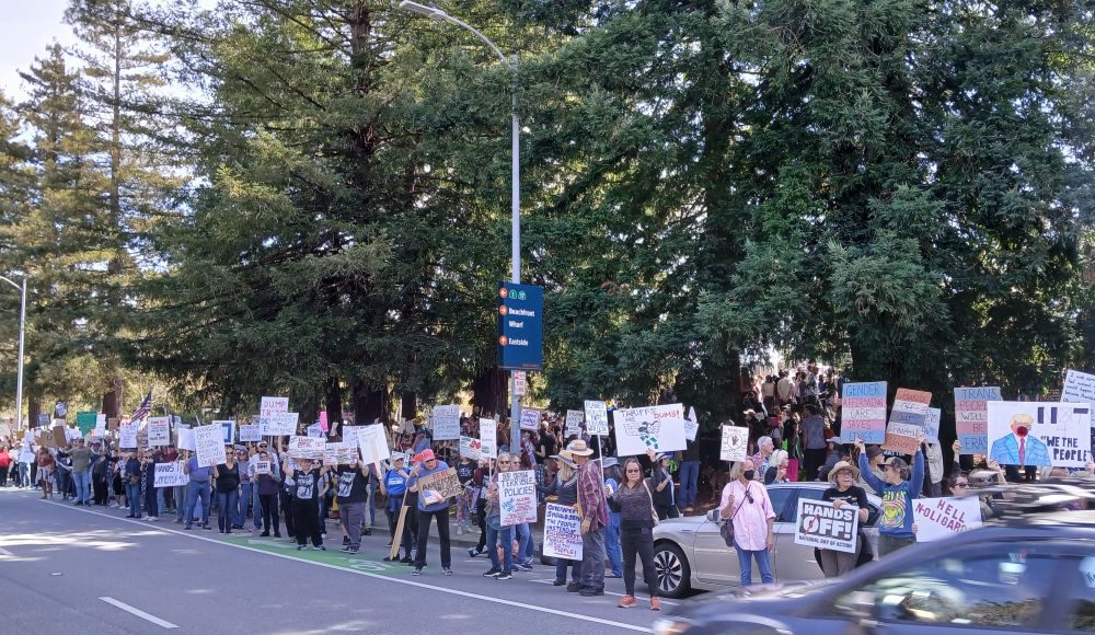 News photo of April 5 2025 protest of Trump policies