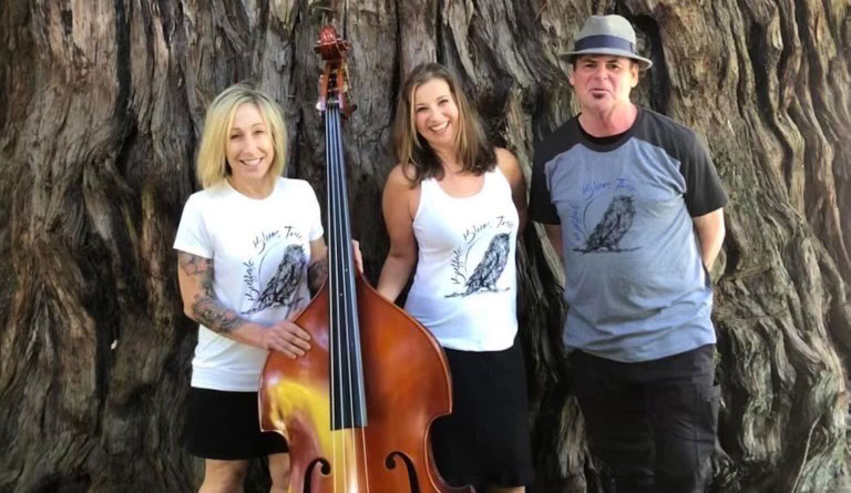 Buffalo Blues Trio photo