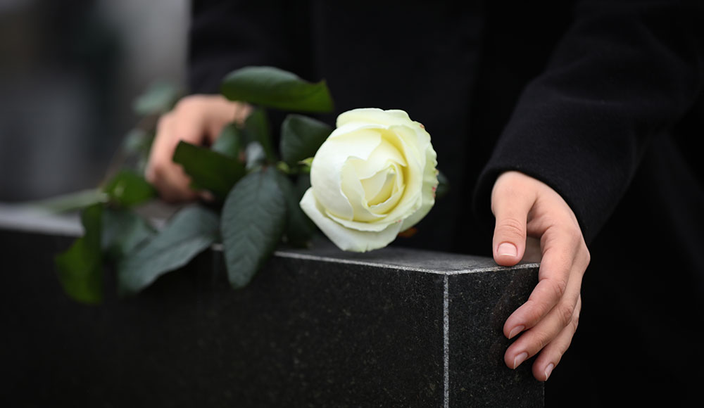 opinion piece photo of a rose