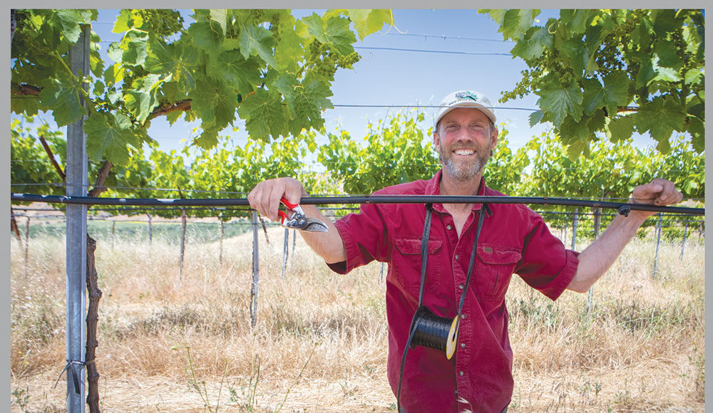 Paicines Ranch photo