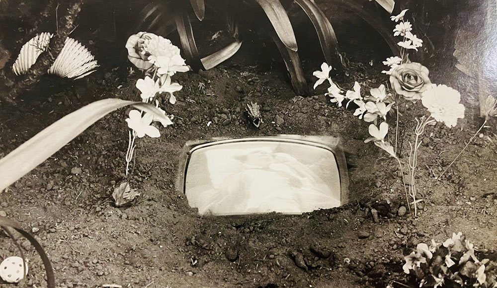 Capitola essay photo