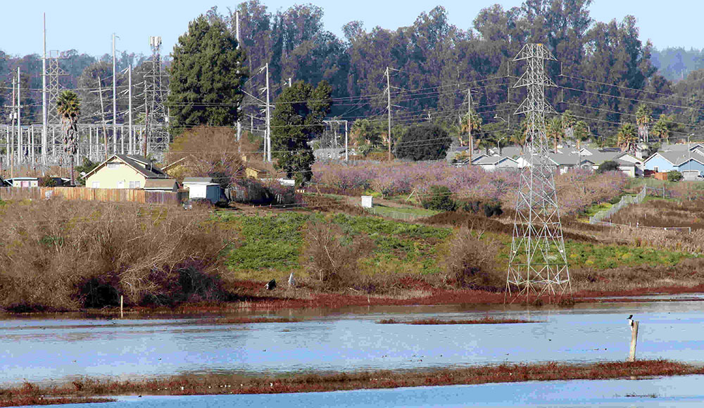 Lagoon area with power poles and housing alongside